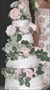Traditional Wedding cake, with English Roses